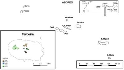 Spatial Scaling Patterns of Functional Diversity